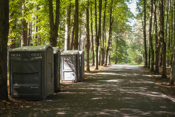 Best Luxury portable toilet rental  in Fremont, MI